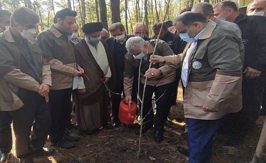 شرکت استاندار گیلان در مراسم روز درختکاری