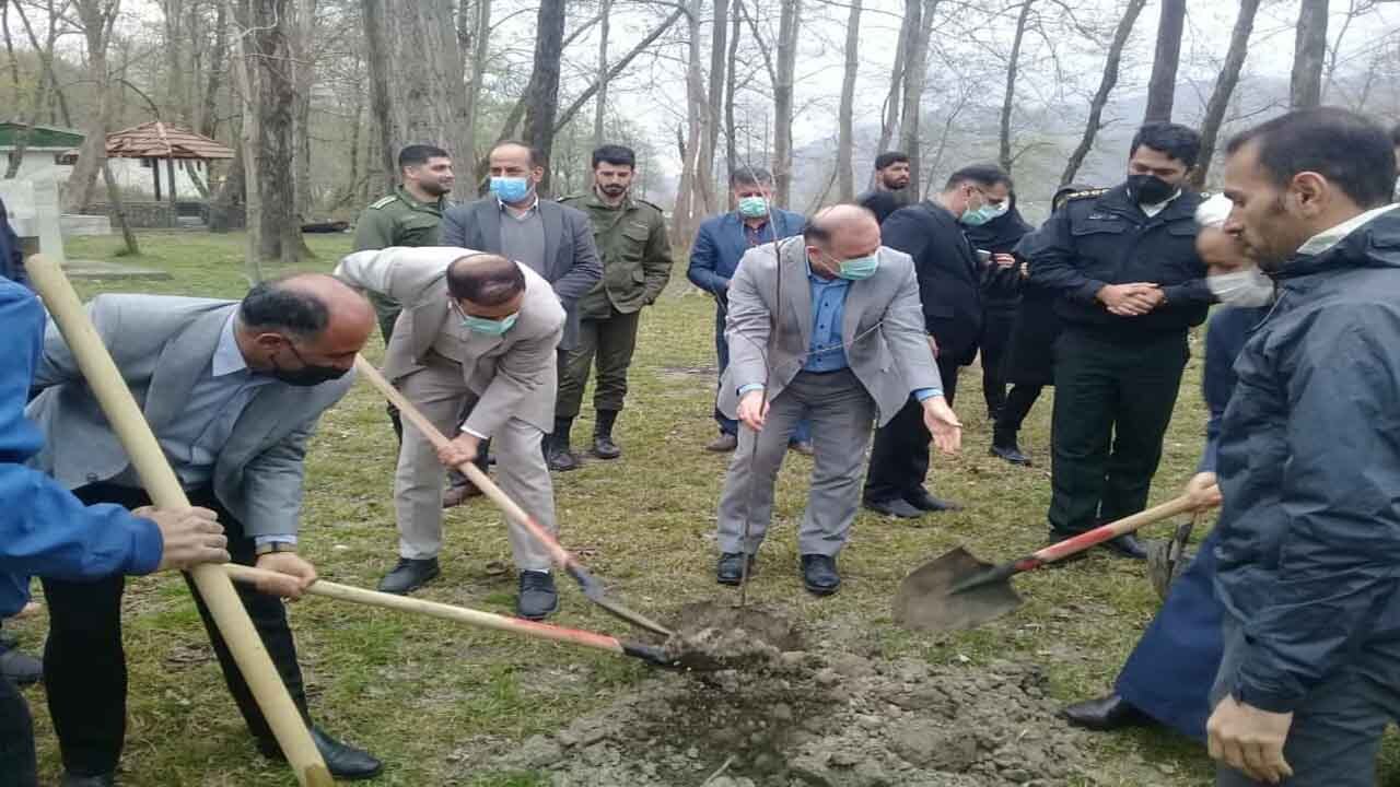 کاشت بیش از ۲۵ هزار اصله نهال در آمل