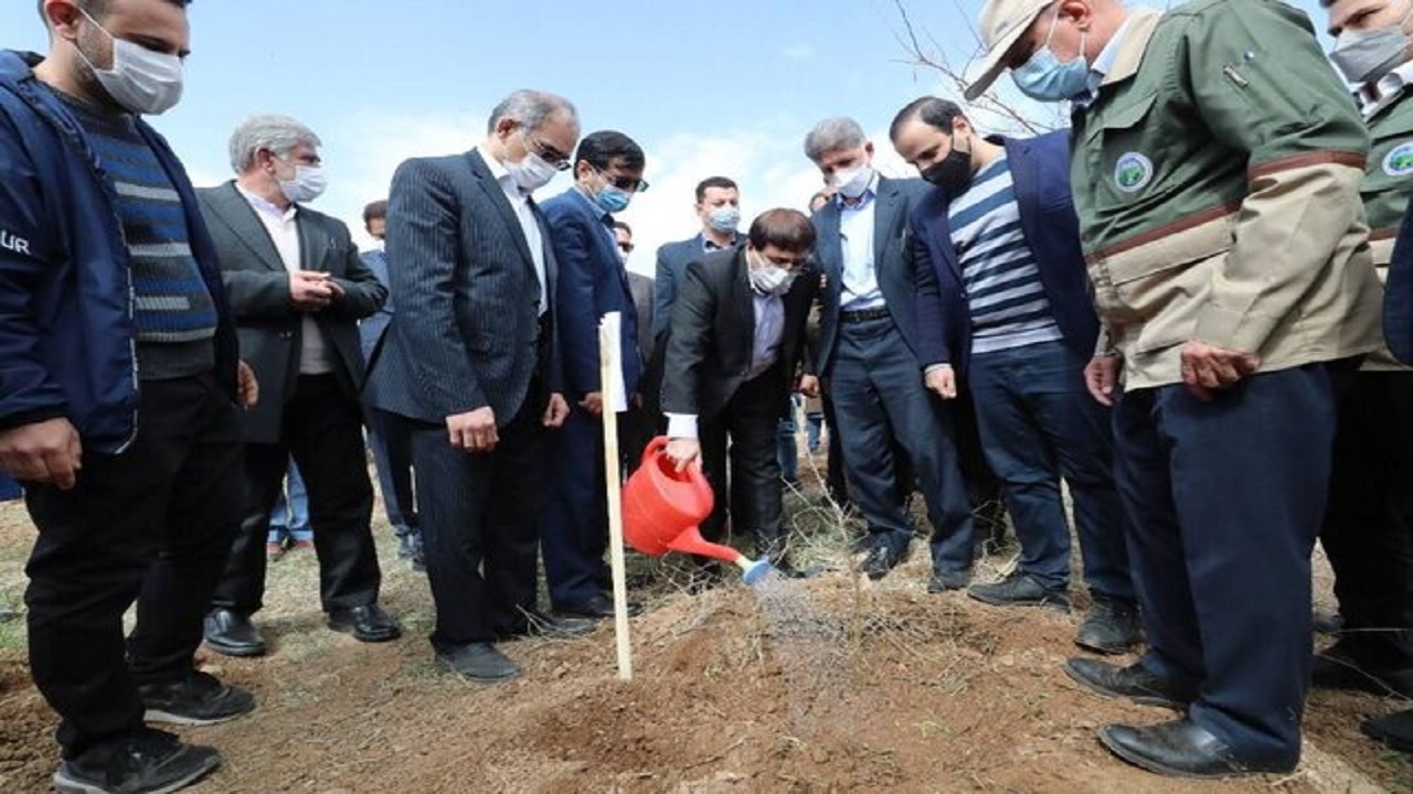 برگزاری جشن روز درختکاری همزمان با سراسر کشور/جنگل‌های زاگرس تامین کننده ۴۰ درصد آب شیرین