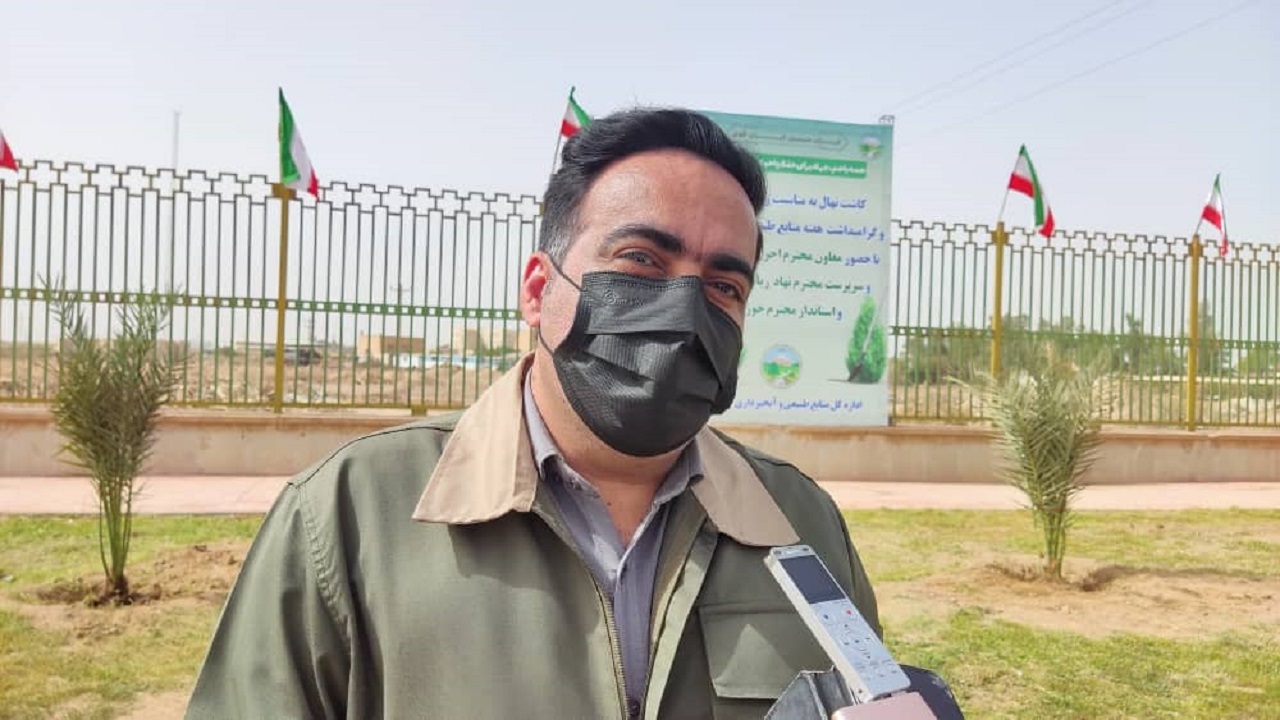 کاشت ۲ هزار اصله نهال در جنوب غرب خوزستان ظرف یک روز