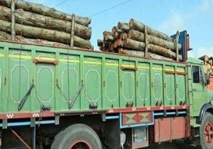 ۵ تُن چوب قاچاق در سرایان کشف شد