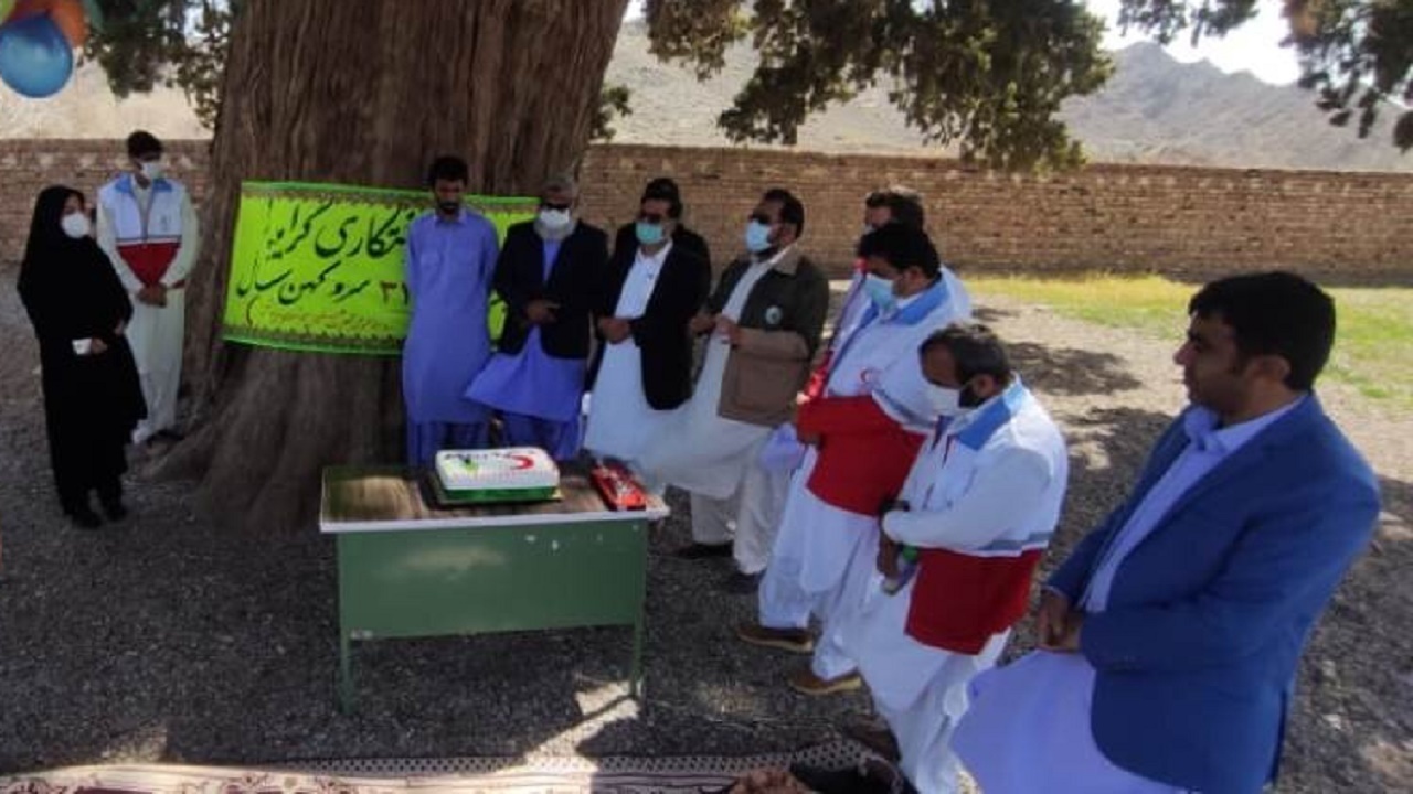 جشن تولد ۳۲۱۳ سالگی سرو سنگان خاش برگزار شد