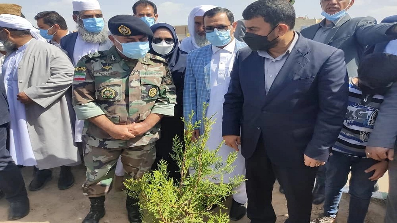 ۴۲۰ هزار اصله نهال غرس شد