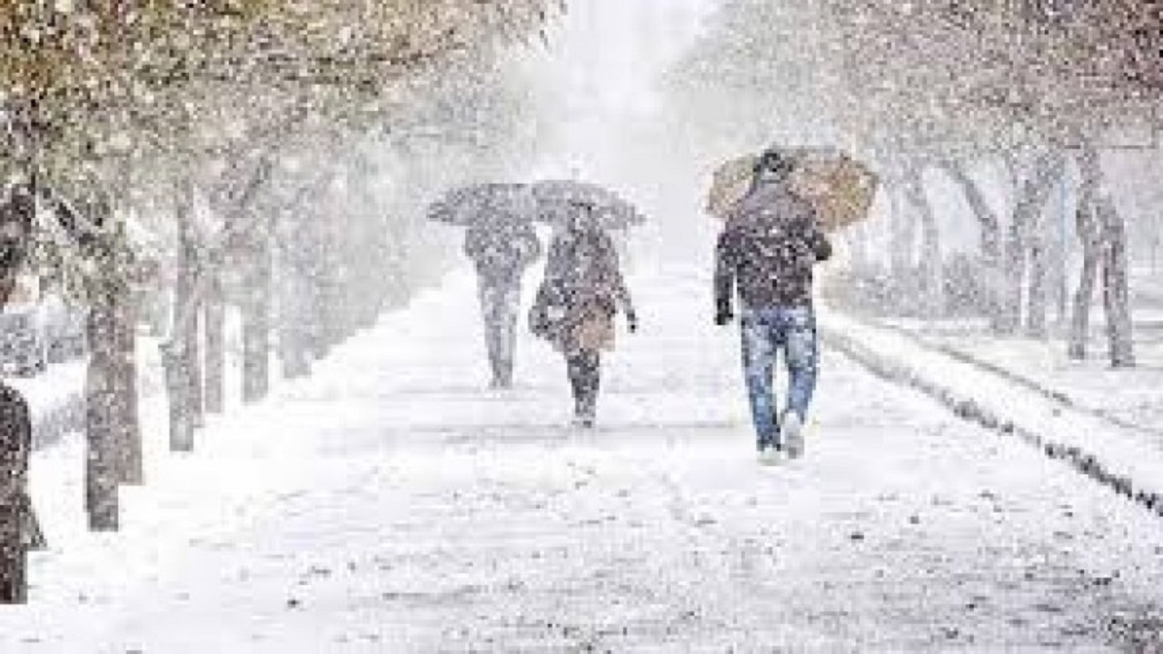 بارش ۳ میلیمتر برف در شهر‌های آوج و سیردان