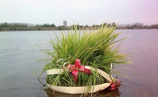 سبزه عید