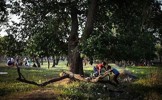 طبیعت گردی