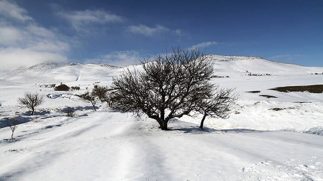 خودنمایی برف و کولاک در روستای ساریجالو + فیلم