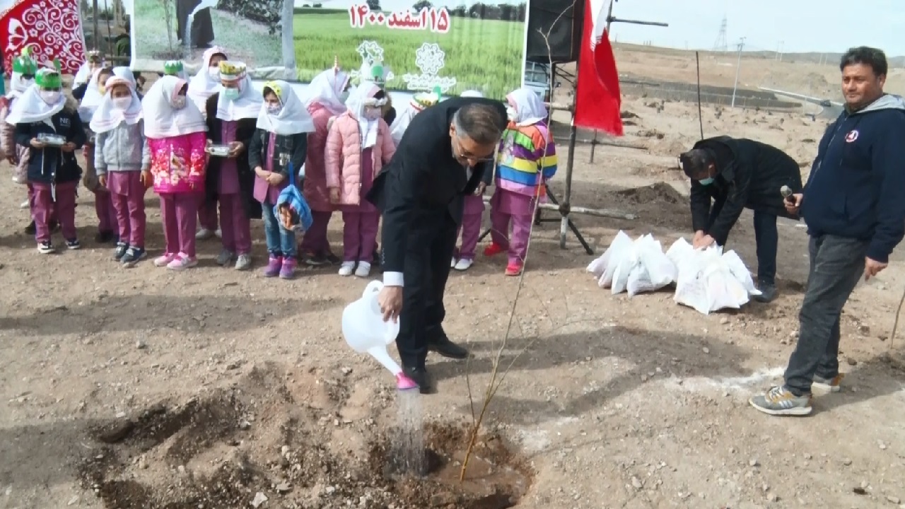 سرانه فضای سبز ساوه ۴۵ درصد کمتر از میانگین کشور