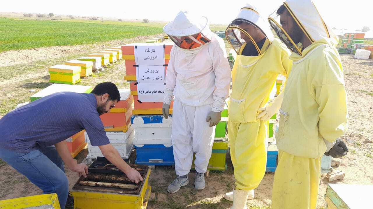 بسیجی خوش ذوق نهاوندی سالانه ۴هزارکیلو عسل تولید می&zwnj;کند