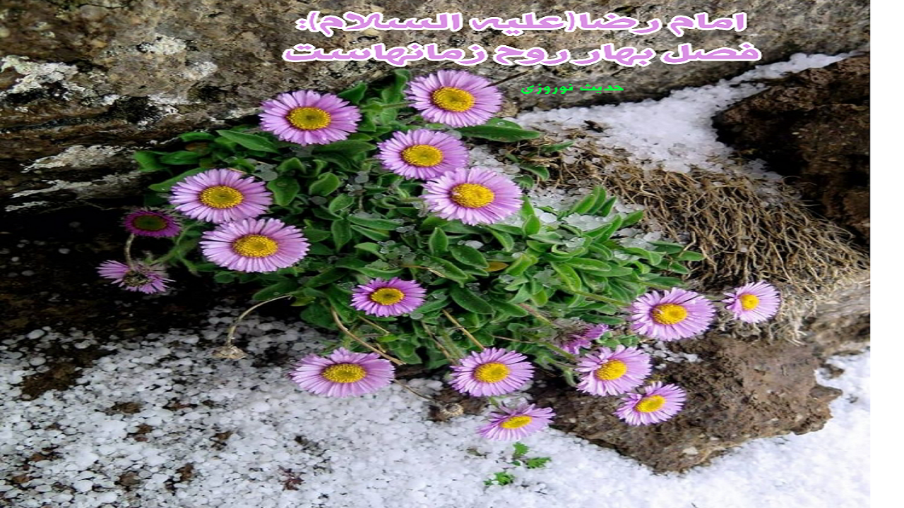 حدیث امام رضا (ع) درباره فصل بهار