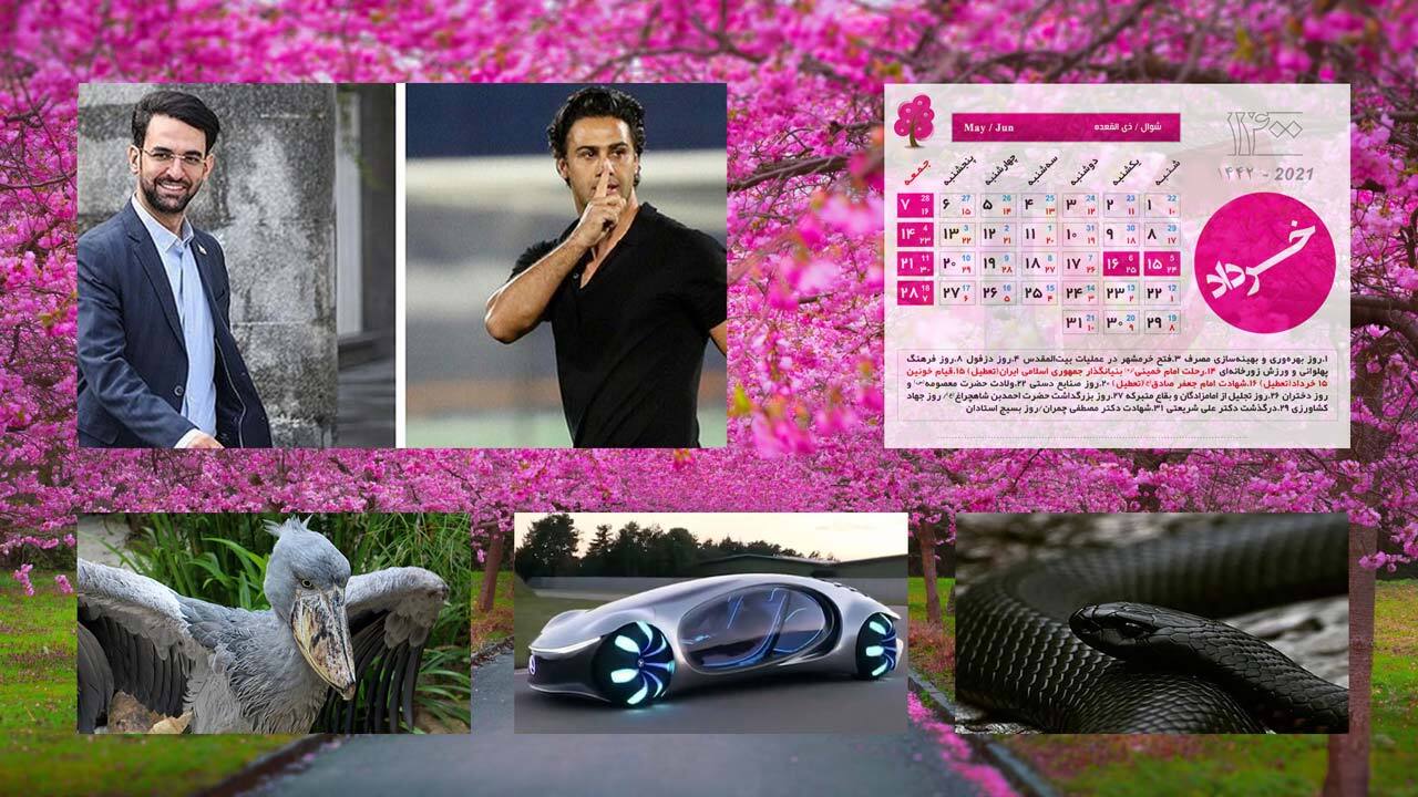 اظهارنظر عجیب خواهر پانته‌آ بهرام درباره جایزه برنامه هم‌رفیق/ ۱۵ حادثه وحشتناک که توسط دوربین‌ها ثبت شده‌اند/ کری‌ خوانی وزیر ارتباطات برای فرهاد مجیدی