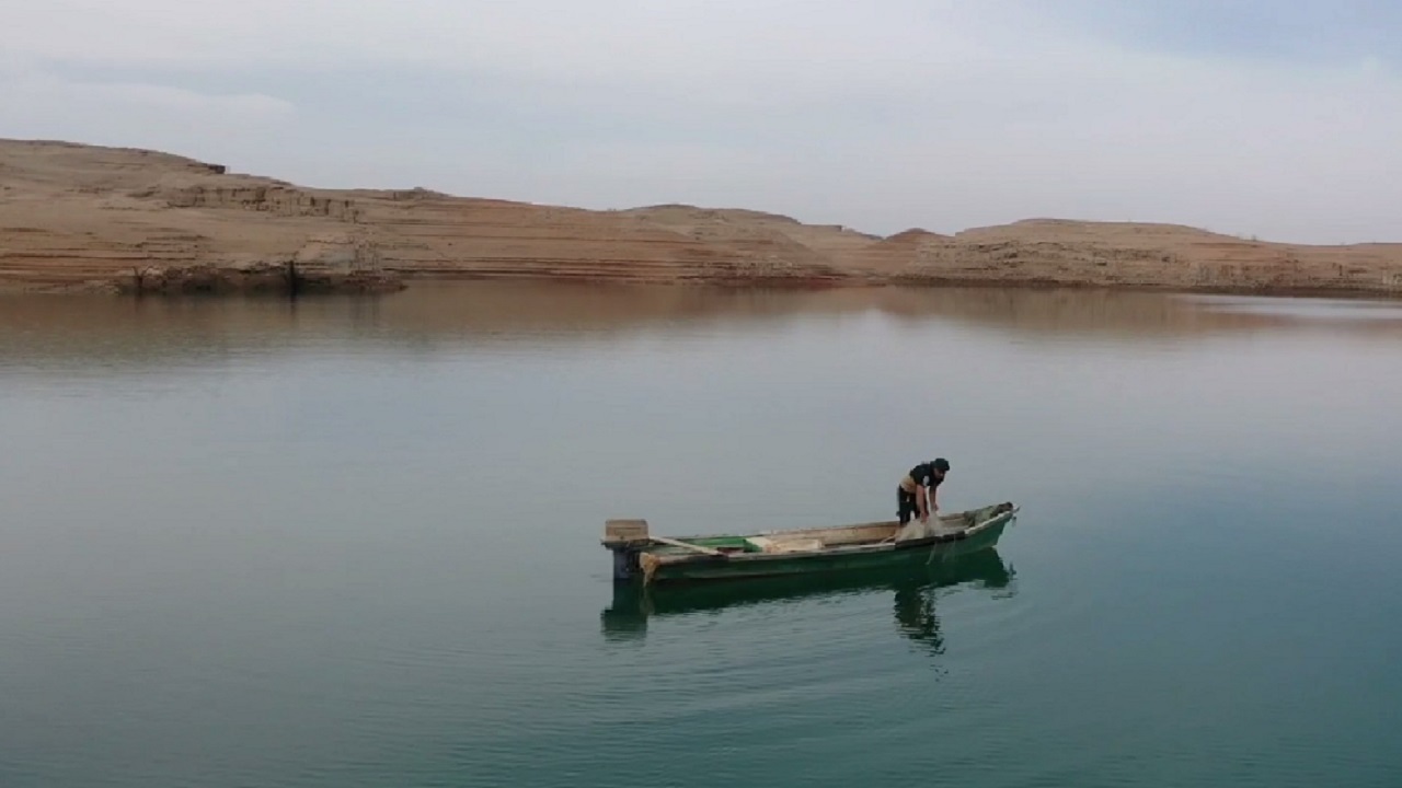 جنب و جوش آبزی پروری در استان ایلام