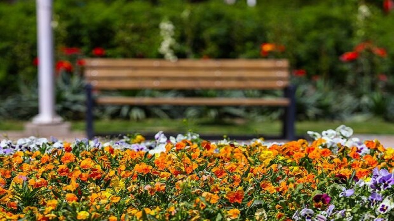 بوستان «ارکیده» در قم به بهره‌برداری رسید