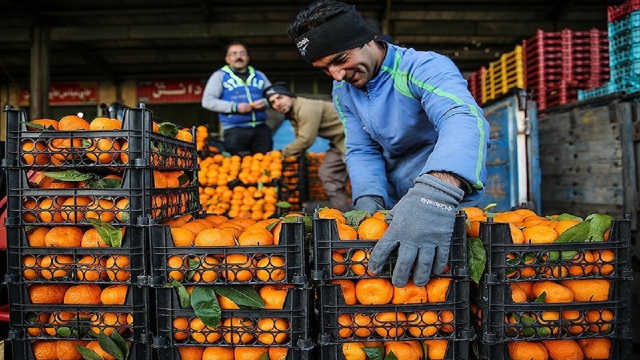 میوه شب عید از ۲۰ اسفند در استان اردبیل توزیع می‌شود