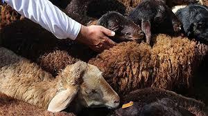 تشدید نظارت‌های بهداشتی در کوهبنان