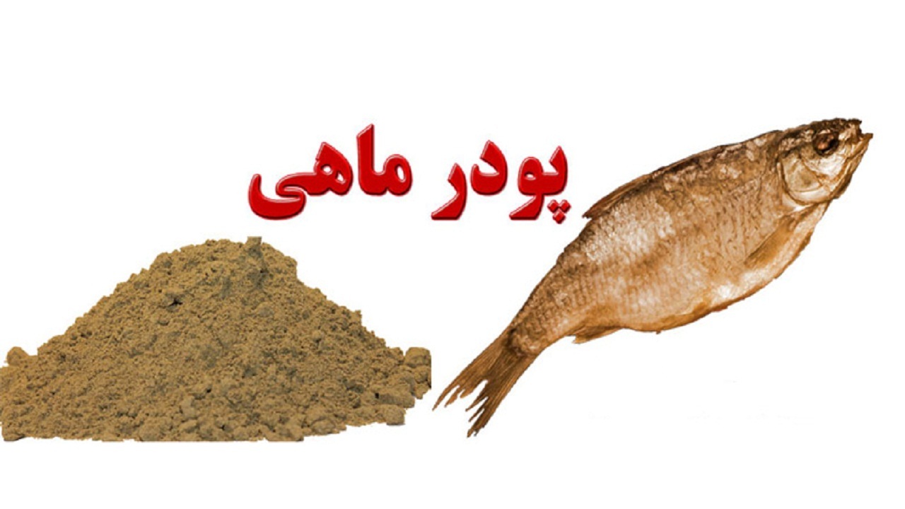 پودر ماهی