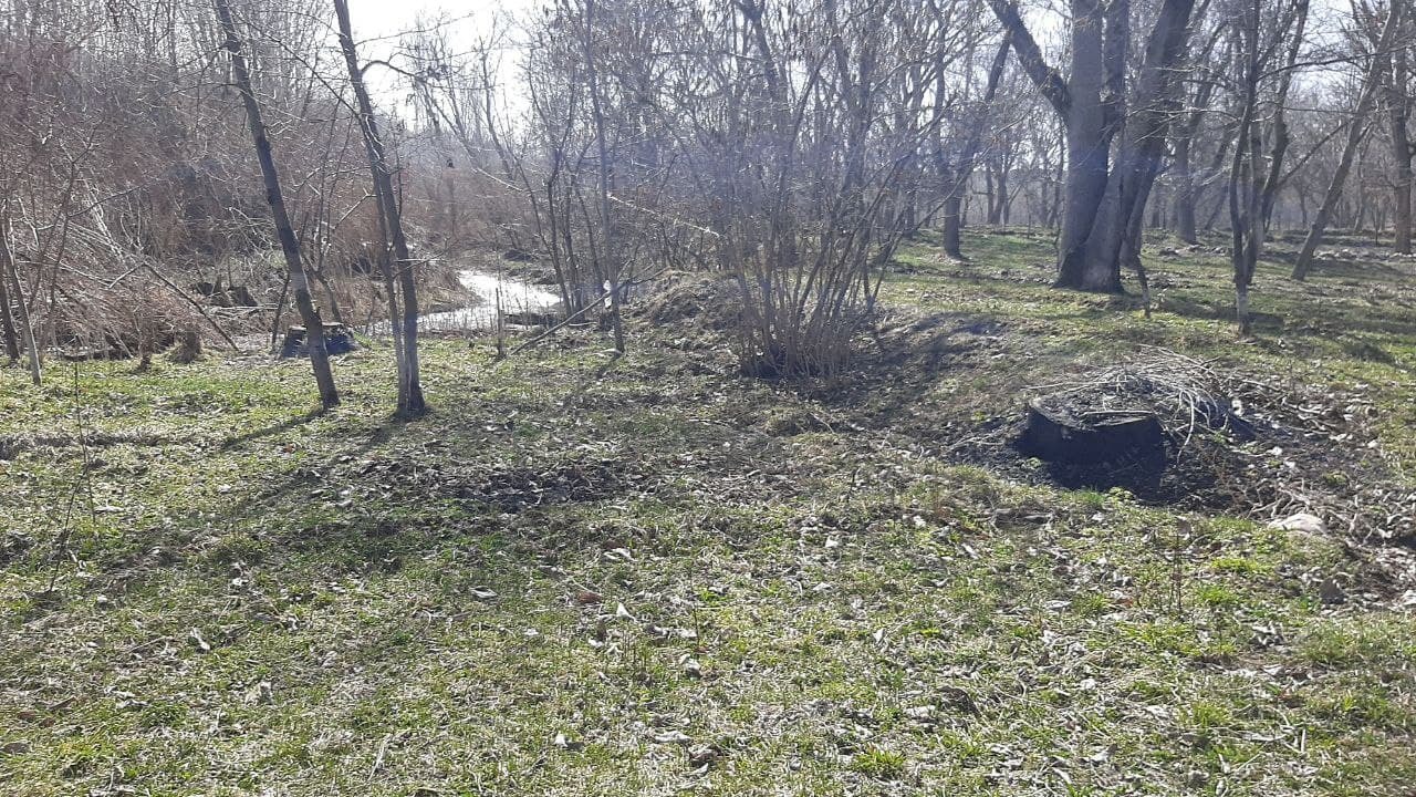 طبیعت روستای توآباد در قالب دوربین شهروند خبرنگار + فیلم و تصاویر