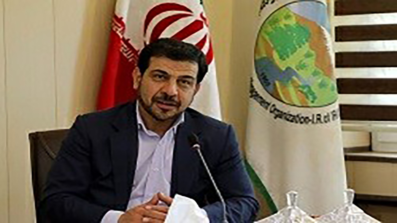 قدردانی رییس سازمان منابع طبیعی و آبخیزداری کشور از دادگستری کرمان