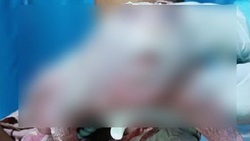 باشگاه خبرنگاران -سر و صدایی که تولد یک نوزاد در هند بپا کرد