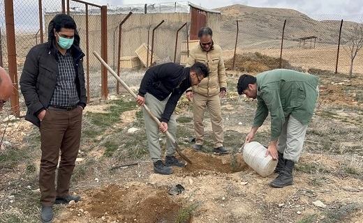 کاشت ۱۵۰ اصله نهال در سایت تکثیر و پرورش حیات وحش بیجار