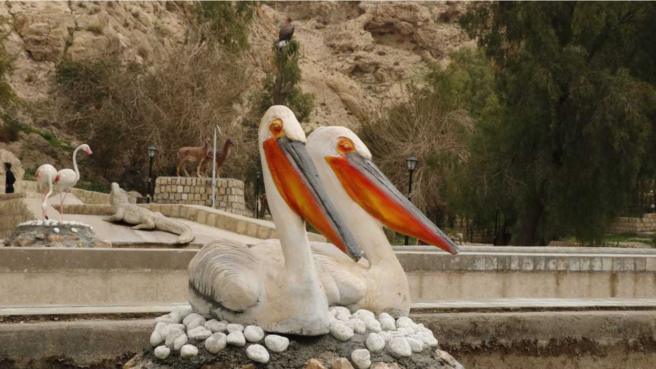 پارک کازرون، موزه جانورشناسی شد