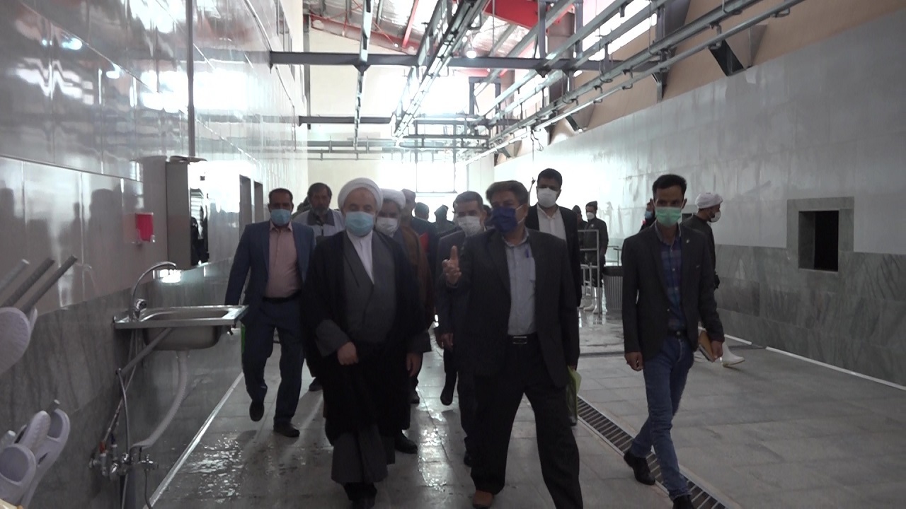 صنعت پرورش شترمرغ  نیازمند کار جهادی