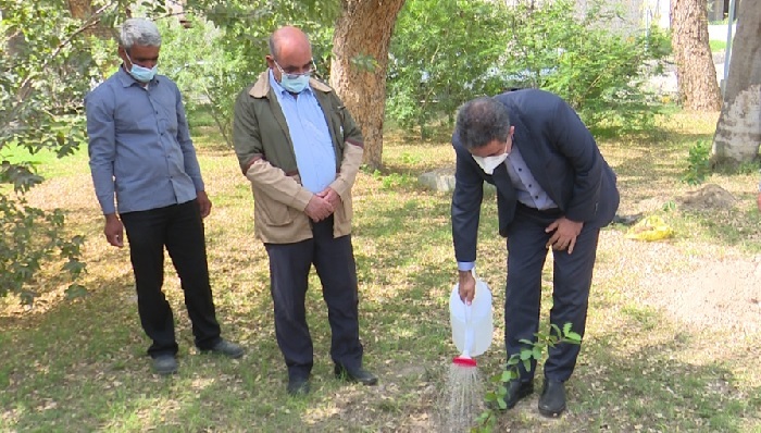 کاشت نهال در صداوسیمای مرکز خلیج فارس