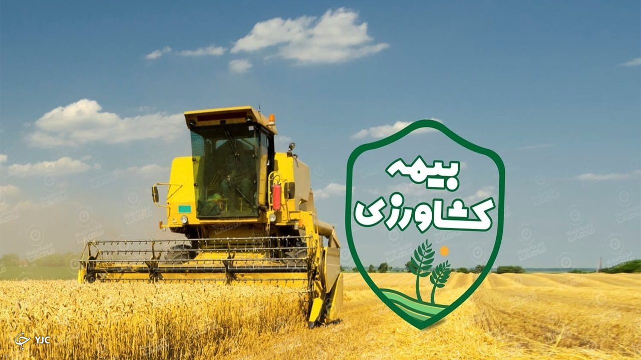 بیش از ۱۲۱ هزار هکتار اراضی کشاورزی و باغی آذربایجان‌غربی بیمه شد