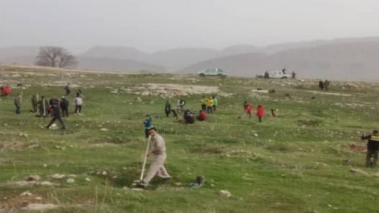 کاشت نهال در منطقه سرخگیری