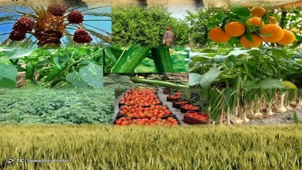 نمایشگاه نهاده‌ها، باغبانی، دام و صنایع وابسته در اهواز از ۵ اسفند برگزار می‌شود