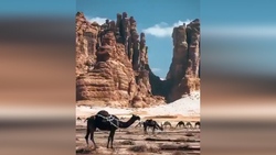 رنگین‌کمانی از جنس خاک + فیلم