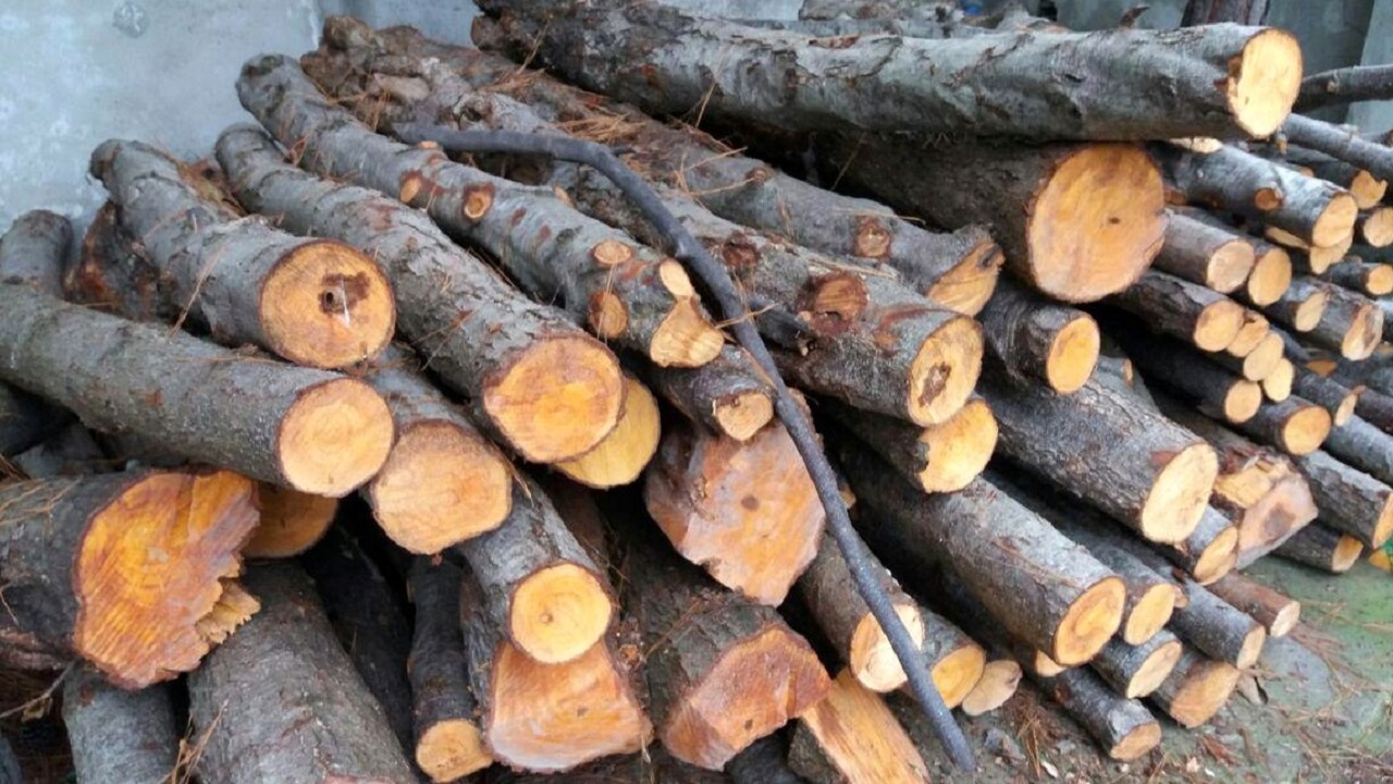 کشف ۱۱ تن چوب قاچاق در قم