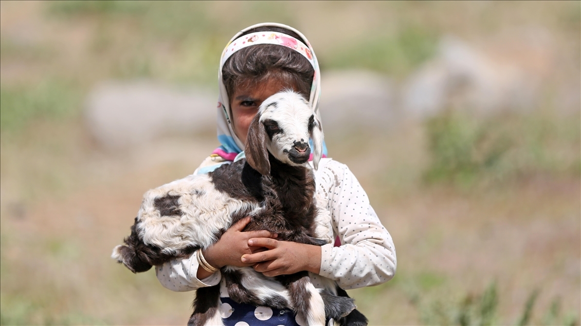 اعلام زمان آغاز کوچ عشایر کهگیلویه و بویراحمد