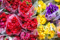 بازار گل محلاتی در آستانه نوروز ۱۴۰۵
