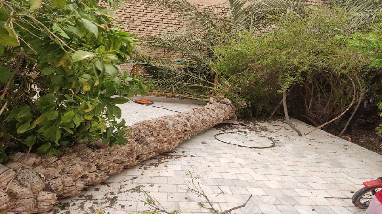 توفان به ۵ شهرستان خراسان جنوبی خسارت زد