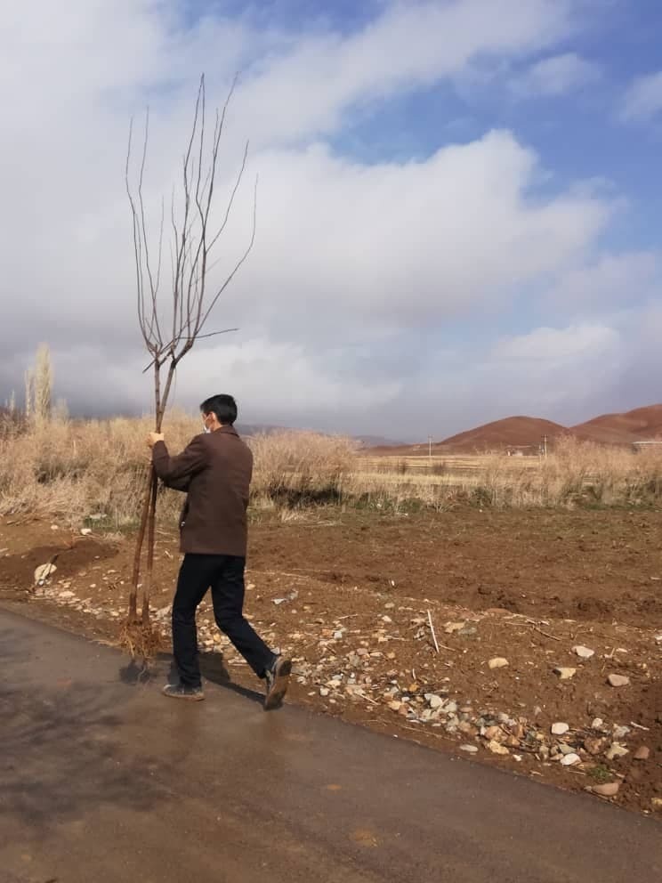 از