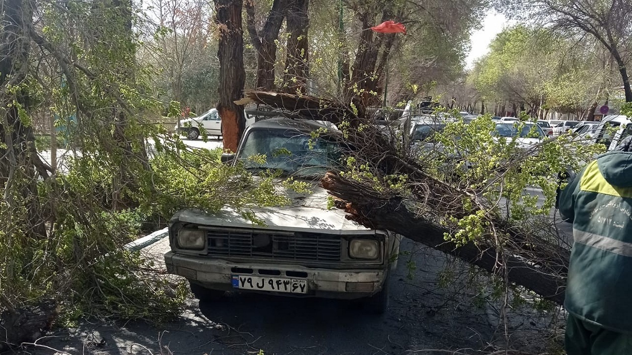 سقوط ۱۳ اصله درخت در پی وزش باد شدید در اصفهان