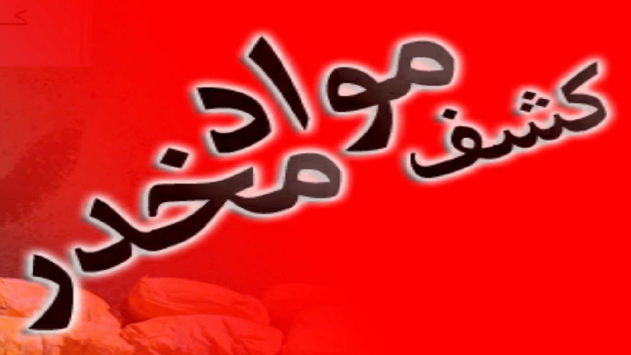 بیش از ۳۰۰ گرم مواد مخدر در بیجار کشف و ضبط شد