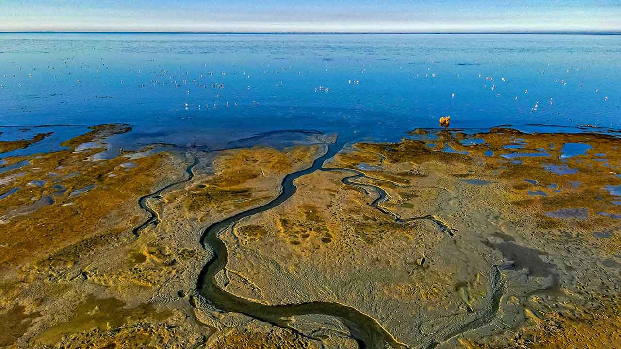 احیای تالاب میانکاله در انتظار اعتبار