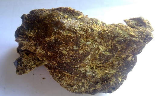 گزانگبین گزانگبین
