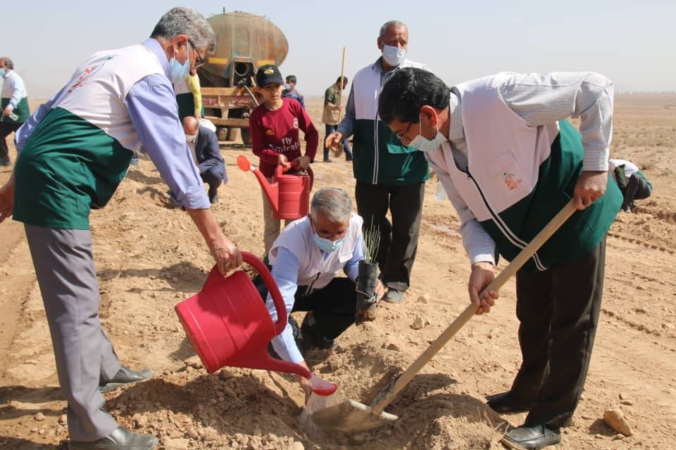 احداث بوستان جنگلی خادمیاران رضوی در کرمان