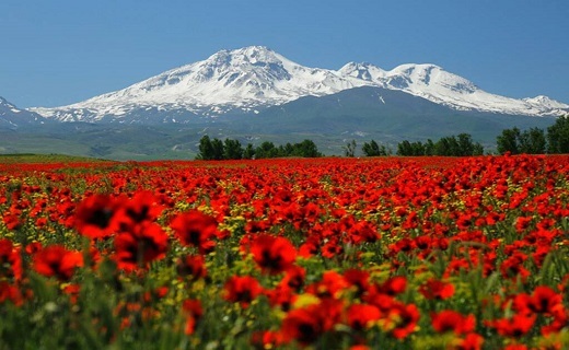 اردبیل پاره&zwnj;ای از بهشت در شمال غرب ایران