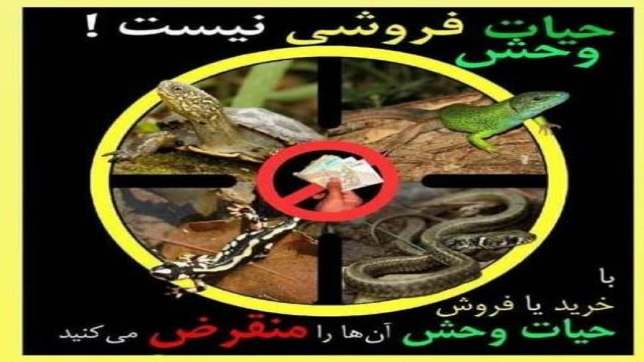 برخورد با عرضه کنندگان و فروشندگان غیرقانونی گونه‌های جانوری و گیاهی