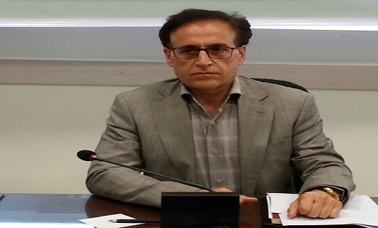 ۲۱ درصد تولید گردو کشور در استان همدان شهبازی مدیر باغبانی همدان