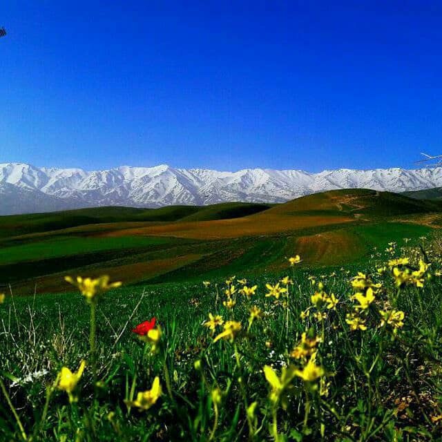 استقبال از نوروز با حرکت جهادی مردم روستایی در نهاوند