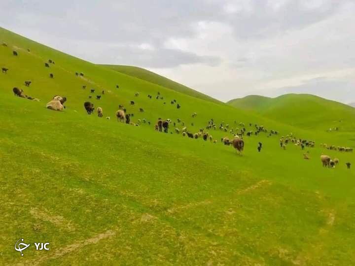 تصاویری از طبیعت زیبای ولایت فاریاب افغانستان