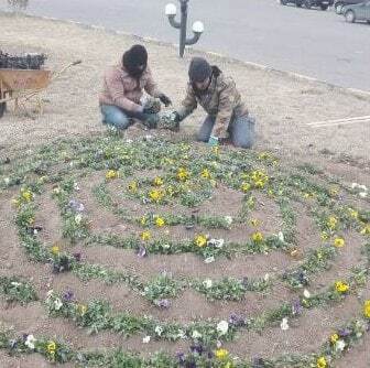 گل کاری معابر شهر اهر در آستانه نوروز + تصاویر