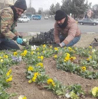 گل کاری معابر شهر اهر در آستانه نوروز + تصاویر