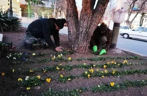 گل کاری معابر شهر اهر در آستانه نوروز + تصاویر