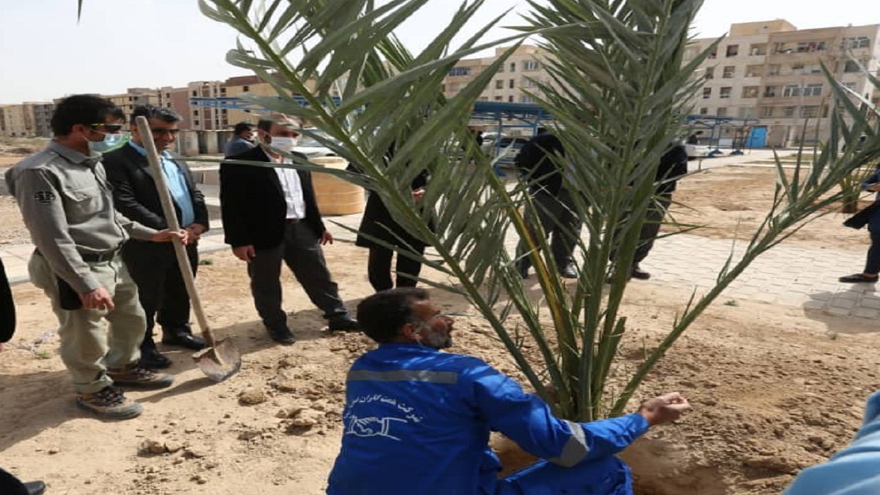 کاشت ۱۵ نفر نخل در باغ موزه بندرماهشهر